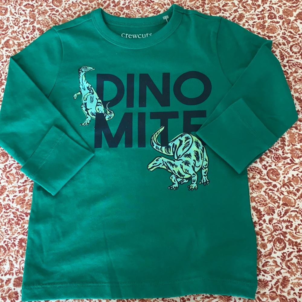 Jcrew Factory Boys' long-sleeve "dinomite" graphic tee